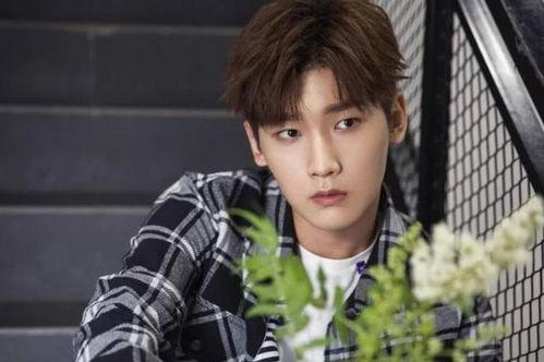 何浩楠恋情爆料最新消息,神秘女友身份引热议